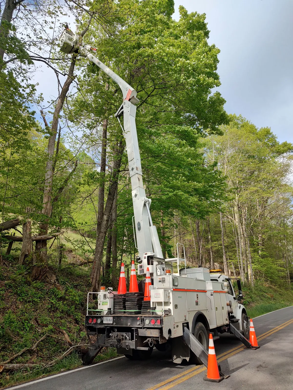 Bucket truck reaching into roadside canopy for a trim