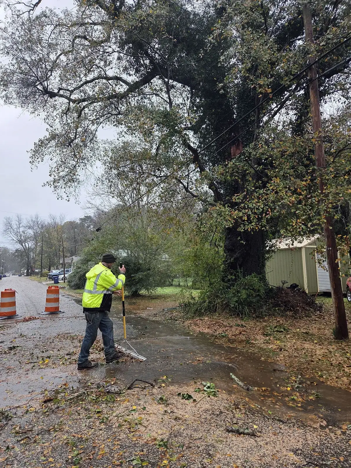 Crew clearing roadside debris after tree work