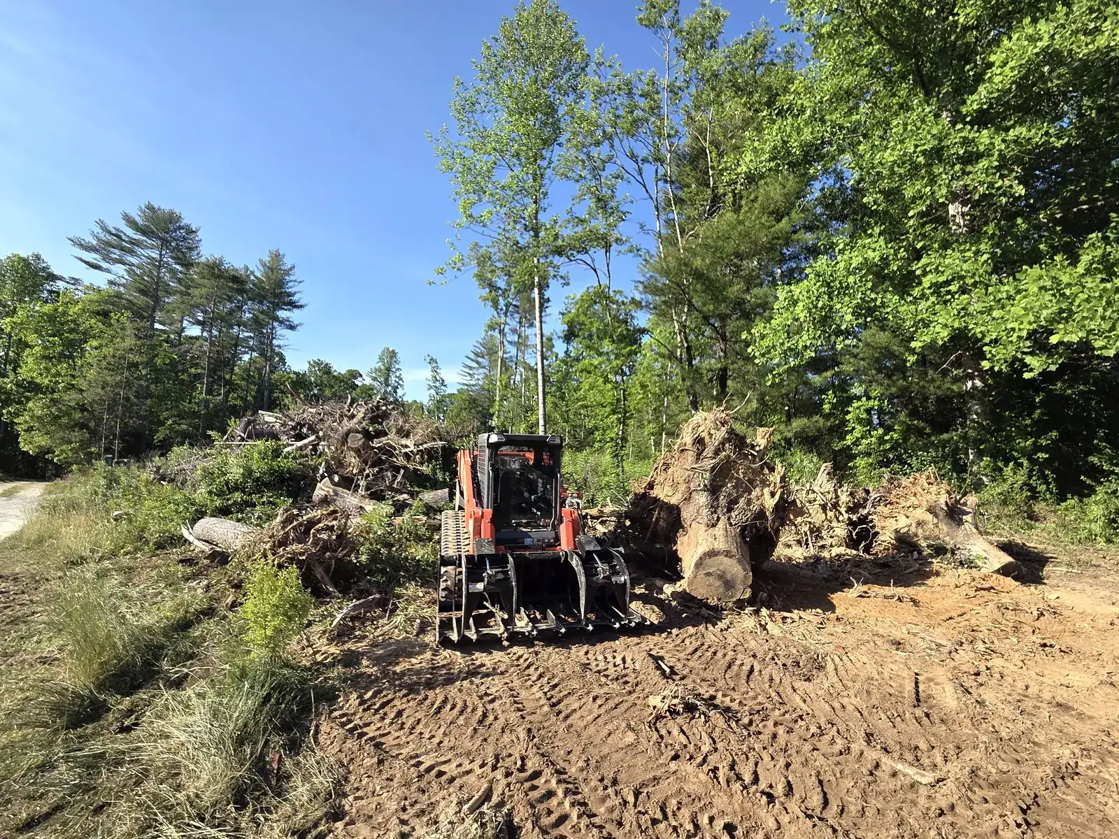 Skid steer clearing a fresh stump and grading the site