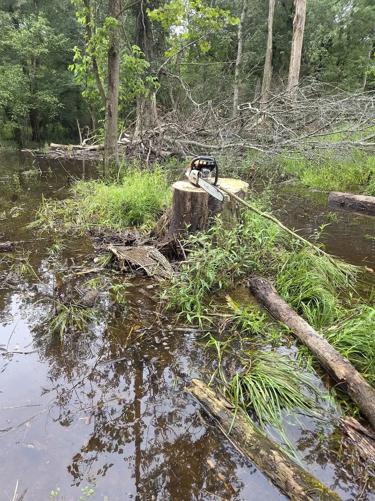 Stump removal in wet, low-lying ground