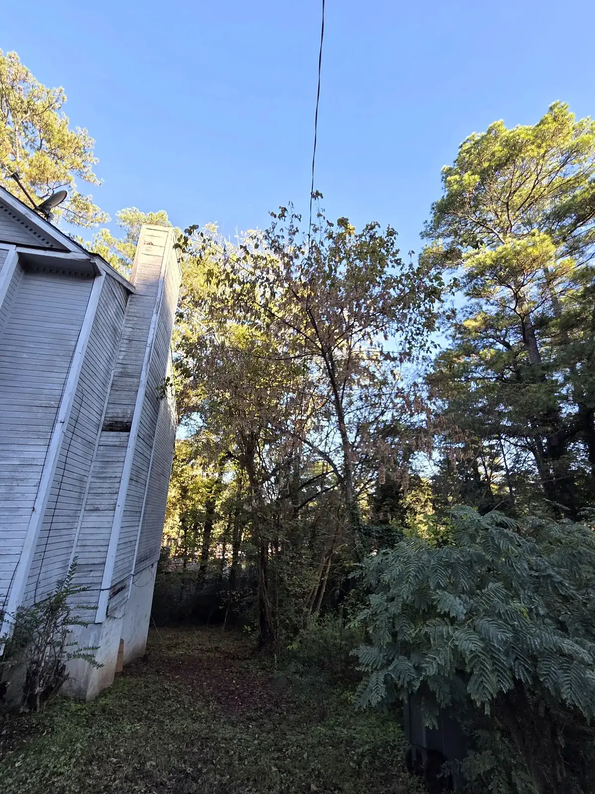 Overgrown trees near a home's service line