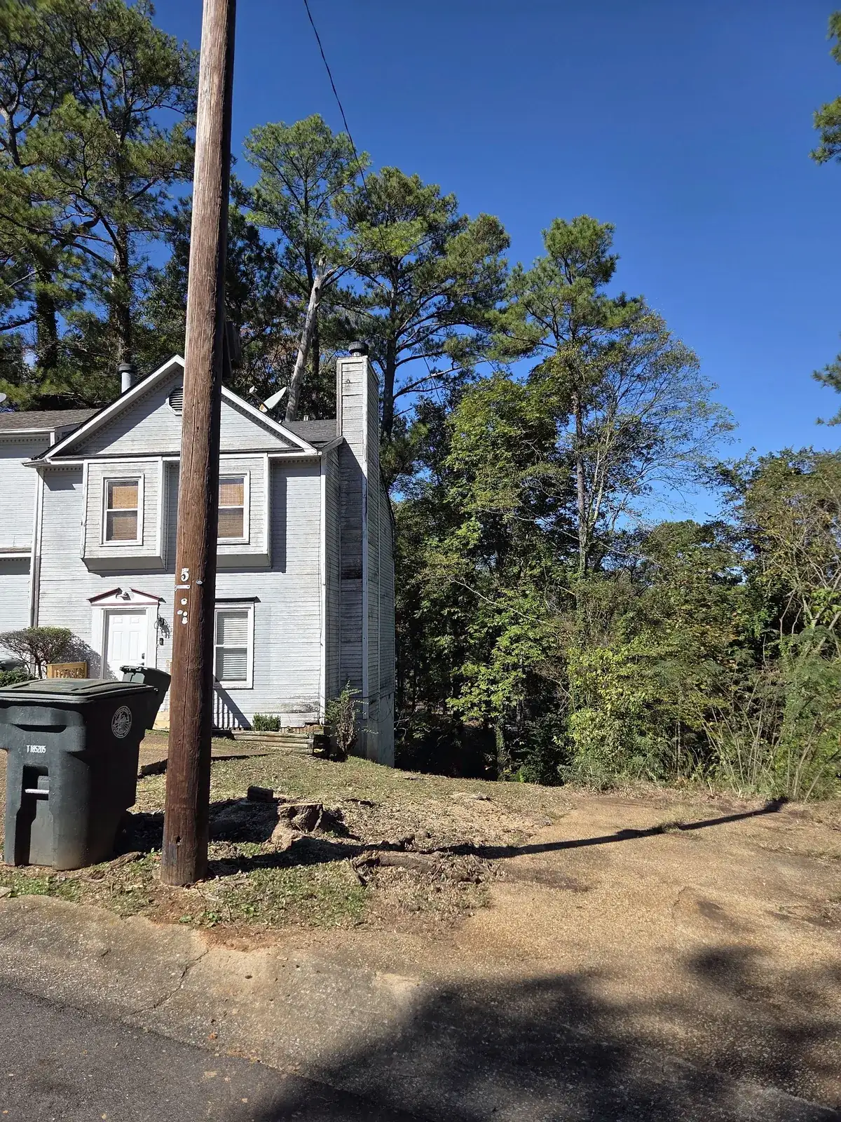 Tree near power lines and utility pole