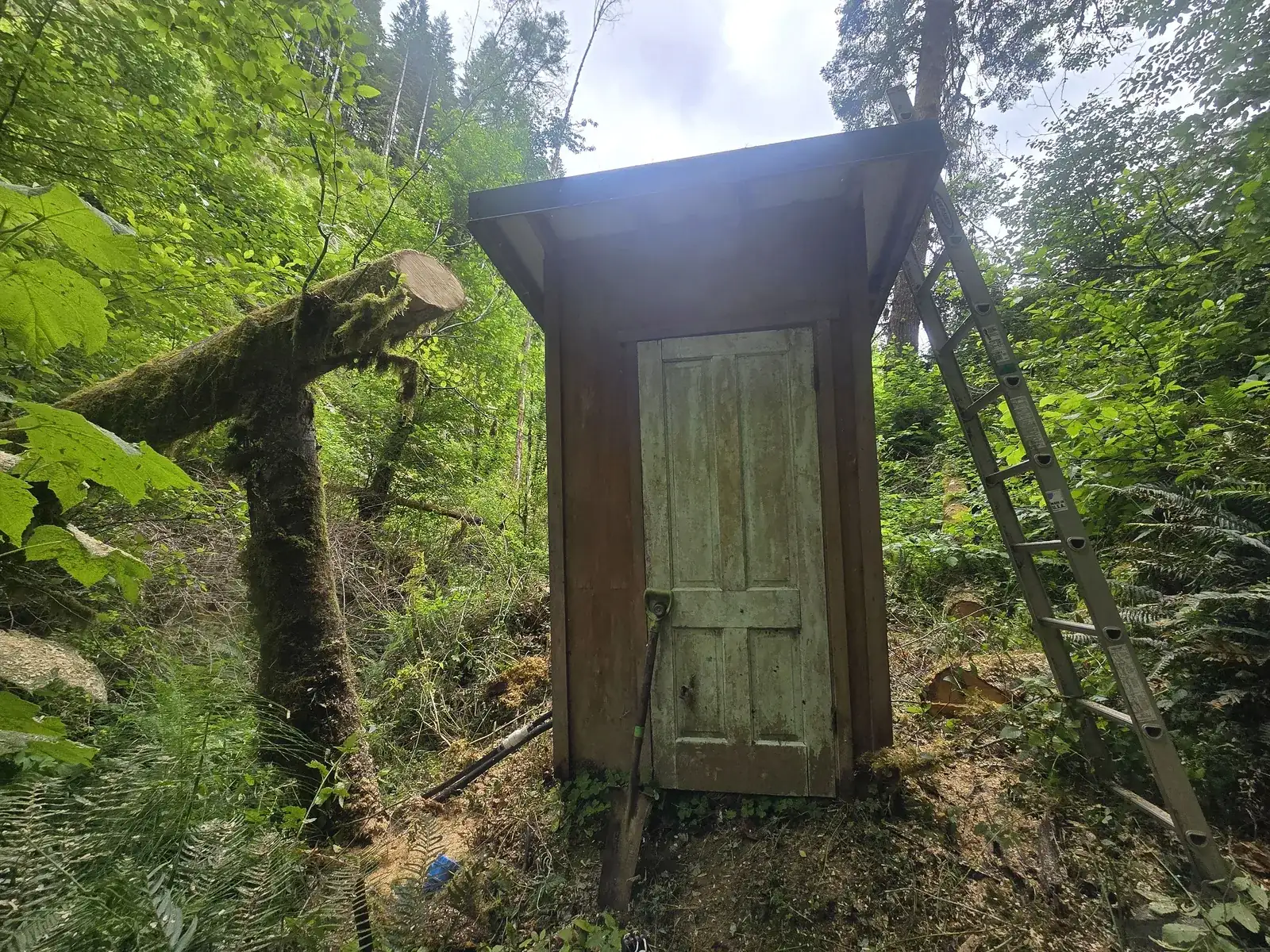 Storm damaged shed crushed by a tree