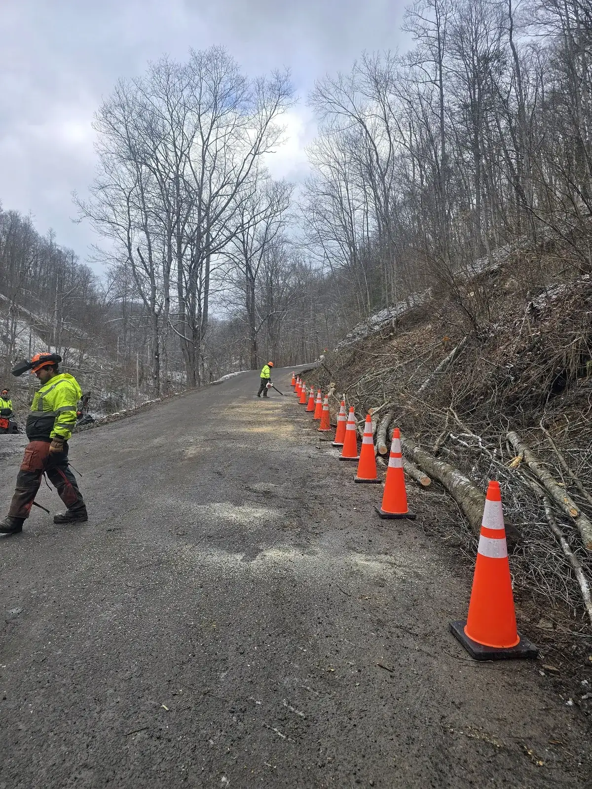 Utility crew clearing brush along a roadside